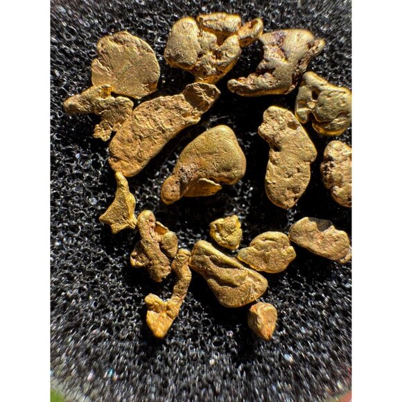 California Gold Nuggets in Display Case - 1.90 grams - Picture 7 of 7